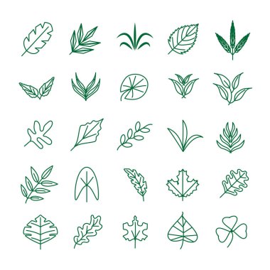 Yeşillik yaprağı, bitki, orman otları, tropik yaprak ikonları koleksiyonu.