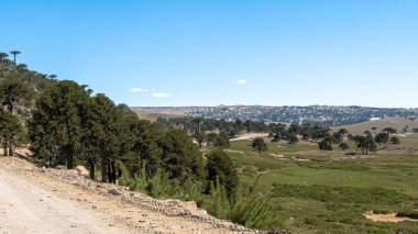Patagonya Vadisi 'nin büyüklüğü. Bitmeyen otlaklar.