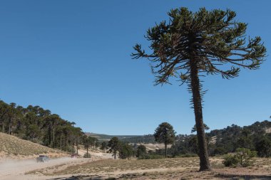 And Dağları 'ndaki patagonya yolları. Huzur ve huzur içinde..