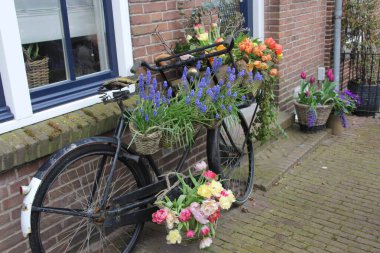 Vazodaki güzel çiçekler eski bir evde