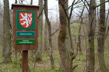 Çekoslovakya ormanındaki ahşap tabela.