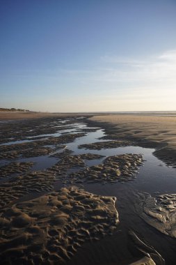 Sakin bir kumsal sahnesi alçak gelgit sırasında gelgit havuzları bir yaz öğleden sonra kuma saçıldı.