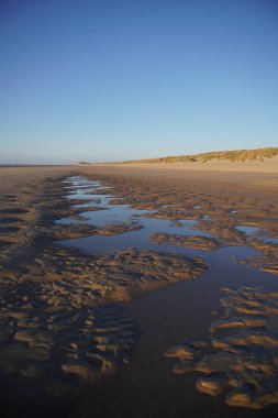 Sakin bir kumsal sahnesi alçak gelgit sırasında gelgit havuzları bir yaz öğleden sonra kuma saçıldı.