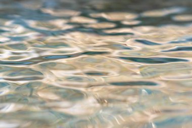 Su, gün ışığını yansıtan bir gölün yüzeyinde dalgalanır.