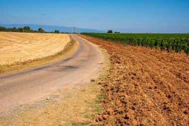 Fransa 'daki üzüm tarlalarında çok renkli toprak yol