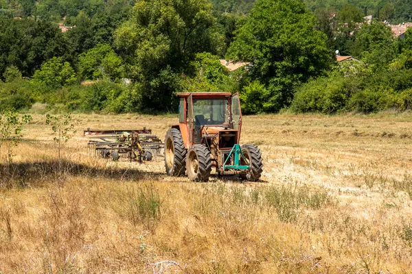 Fransız sahasında klasik traktör.