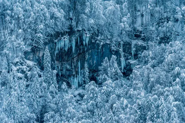 Bosque Cubierto Congelado Lago — Foto de Stock