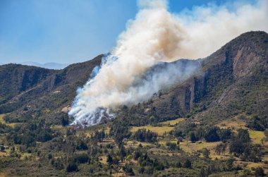 Fuquene Kolombiya 'daki bir dağda yangın ve duman