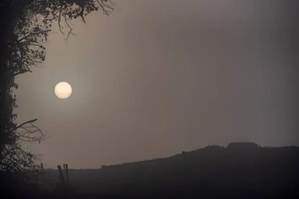 Ködös Reggel Mezőn Kilátással Napra Ködön Keresztül — Stock Fotó