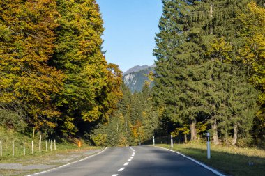 Dağlarda asfalt yol, arka planda güzel sonbahar ormanı.