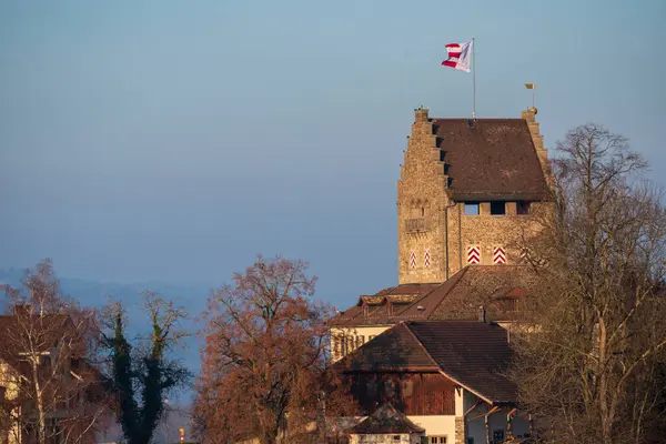Castelo Uster Bandeira Suíça — Fotografia de Stock