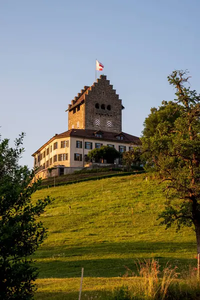 Uster Castle Flag Switzerland — Stock Photo, Image