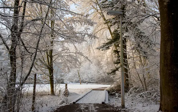 Paisagem Inverno Com Uma Pequena Ponte Floresta — Fotografia de Stock