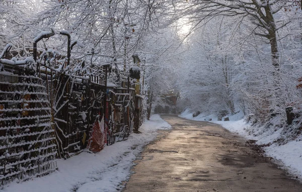 Lonely Road Winter — Stock Photo, Image