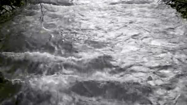 Wasserdurchfluss Des Flusses Uster Schweiz — Stockvideo
