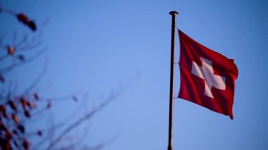 Mavi gökyüzünde dalgalanan İsviçre bayrağı
