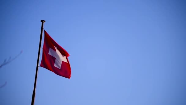 Schweizer Flagge Weht Langsam Vor Blauem Himmel — Stockvideo