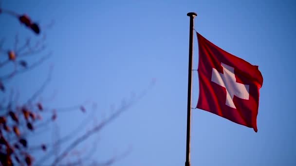 青空に向かって振るスイス国旗 — ストック動画