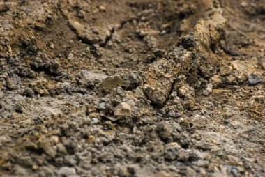 toprak dokusu. toprak arkaplanı.