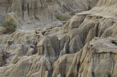 Şekilleri olan ıssız bir arazi. Güney Amerika 'da Tatacoa Çölü.