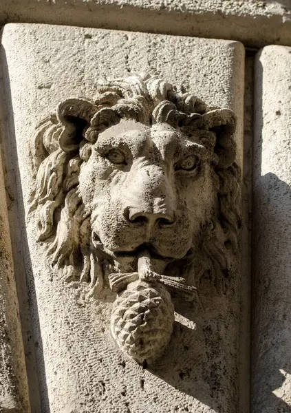 Lion Head Stone Pinecone — Stock Photo, Image