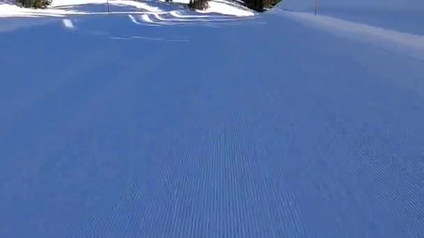 Skipistes Door Het Bos Alpen Zwitserland — Stockvideo