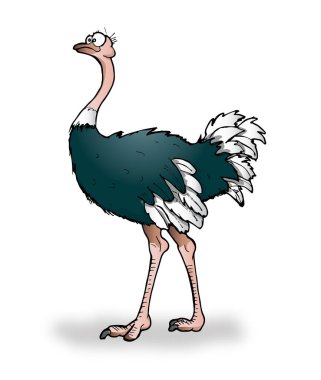 Devekuşu vektör karikatür çizimi