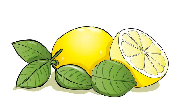 Limone Fresco Con Foglie Fette Limone — Vettoriale Stock