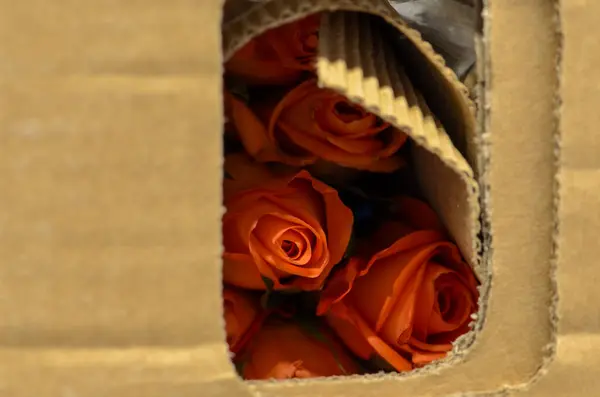 Orange Imported Roses Box — Stock Photo, Image
