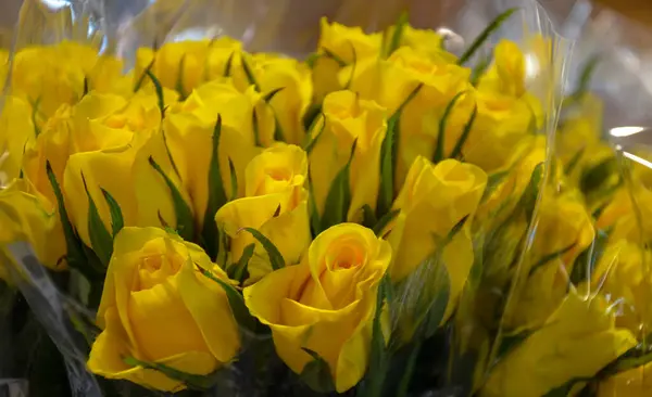bouquet of beautiful yellow roses in the shop, close
