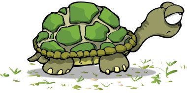 Yeşil bir kaplumbağanın çizimi