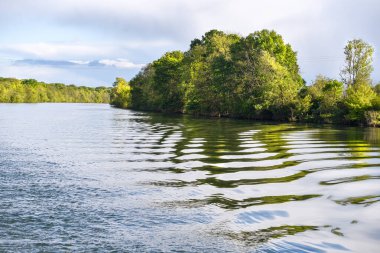 Nehir suları kıyı şeridi ağaçlarını yansıtır, yüzeyde hafif dalgalanmalar tarafından kesilen görüntüyle.