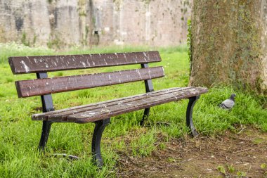 Fransa 'da halka açık bir parkta eski bir bank