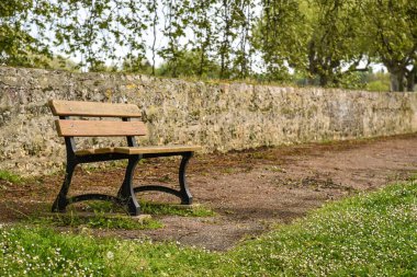 Arkasında duvar olan bir parkta bank.