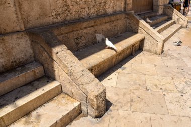 İspanya, Valencia 'da bir duvara inşa edilmiş tarihi taş bir bank. Parlak yaz güneşinin altında güvercinler dinleniyor.