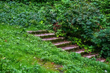 Parktaki eski taş merdivenler.