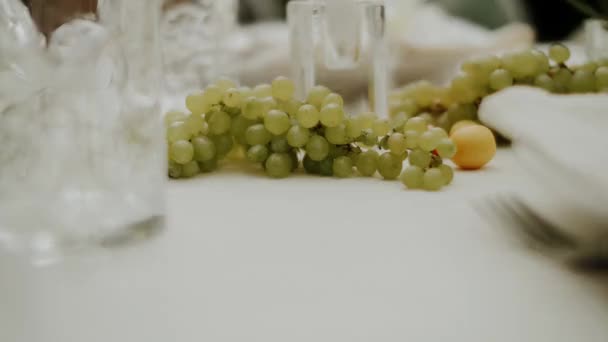 Close Shot Wedding Table Greenhouse Served Decorated Pastel Flowers Minimalistic — Stock Video