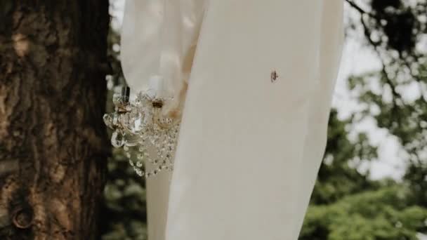 Прикраси Весільної Церемонії Романтична Вінтажна Весільна Церемонія Лісі Високоякісні Кадри — стокове відео