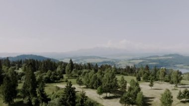 Tatra dağlarının insansız hava aracı görüntüleri. Yukarıdan güzel yaz dağları. Çam ormanı. Yüksek kalite 4k görüntü