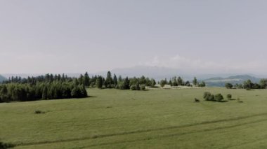 Tatra dağlarının insansız hava aracı görüntüleri. Yukarıdan güzel yaz dağları. Çam ormanı. Yüksek kalite 4k görüntü