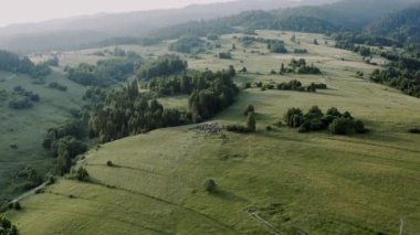 Tatra dağlarının insansız hava aracı görüntüleri. Yukarıdan güzel yaz dağları. Çam ormanı. Yüksek kalite 4k görüntü