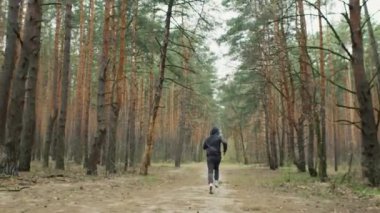 Genç formda sporcu ormanda koşar. Doğada sabah koşusu. Sağlıklı bir yaşam tarzı. Eğitim motivasyonu. Yüksek kalite 4k görüntü