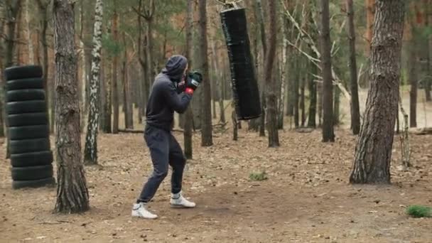 Boxeador Atleta Hombre Entrenando Aire Libre Bosque Entrenamiento Con Saco — Vídeos de Stock