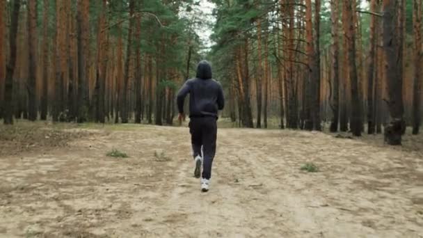 Young Fit Athlete Man Runs Forest Morning Outdoor Jog Nature — Stock Video