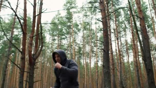 ボクサーは森でトランクインしている シャドウボクシング ボクサー ジョギング スポーツモチベーション 高品質の4K映像 — ストック動画