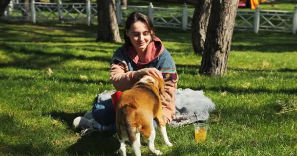 若い女性は公園でビーグルドッグを食べています 飼い主は外で犬を訓練する 高品質の4K映像 — ストック動画
