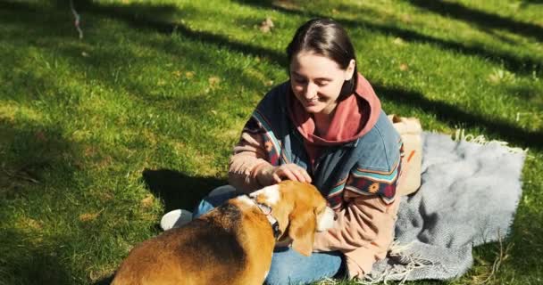 Young Woman Feeds Beagle Dog Park Owner Trains Dog High — Stock Video