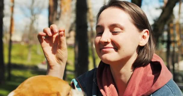 Mujer Joven Alimenta Perro Beagle Parque Dueño Entrena Perro Afuera — Vídeo de stock