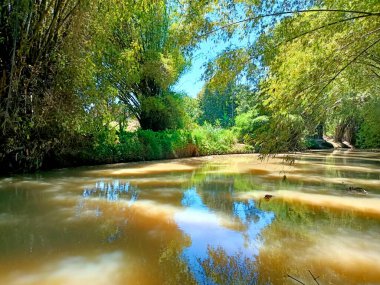 Tehlikeli Nehir Köy 'de