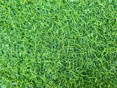 Madiun şehrindeki bir tarlada sentetik çimen dokusu